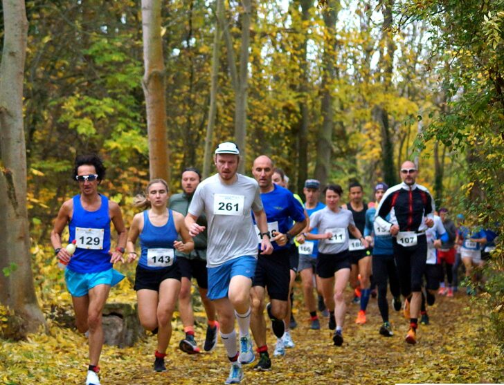 Ankündigung 4. Jubiläumslauf Heidelaufserie