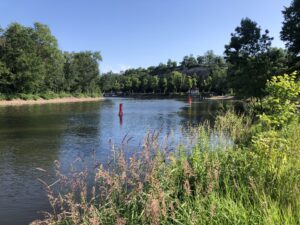 Anmeldung Stadtwerke Halle Triathlon 2025